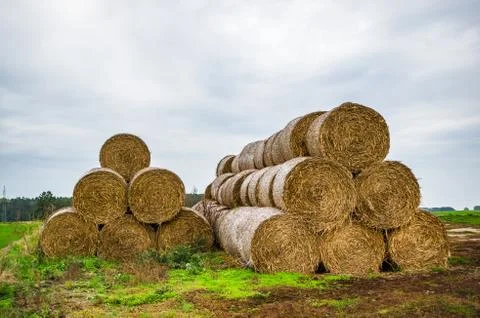 Closeup of a stack of round hay bales in a field Stockfoto's