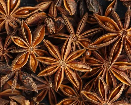 Closeup on star anice texture pattern Foto stock