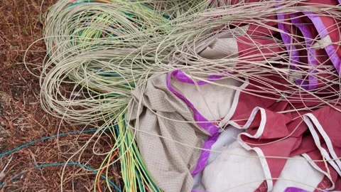Closeup of straps, parachute and backpack lying on grass field after sky diver Stockbeeldmateriaal 146346270