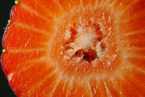 Closeup of a strawberry inside Stock Photos