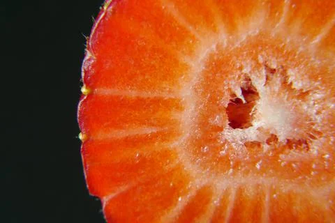 Closeup of a strawberry inside Stock Photos