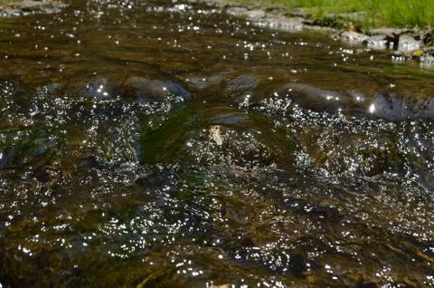 Closeup of a stream Stock Photos