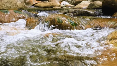 Closeup of strong stream in deep valley.gurgling pour water,Charming Valley. 스톡 동영상 280131515