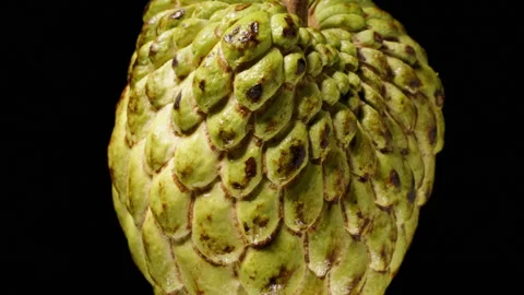 Closeup of Sugar Apple Surface with Scale-Like Pattern and Green Bumps Rotating Stock Footage 314432790