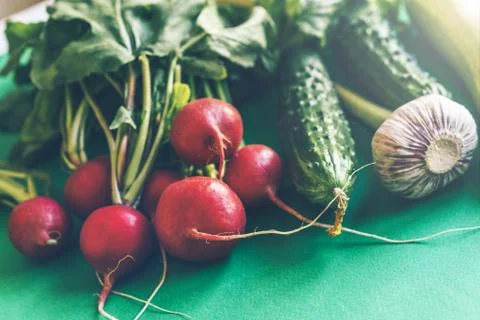 Closeup summer various vegetables Stock Photos