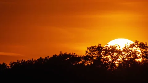 Closeup Of The Sun Setting Behind The Forest Canopy - 4K Time Lapse 動画素材 142625155