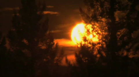 Closeup of sun through forest fire heat waves  Stock Footage 711304