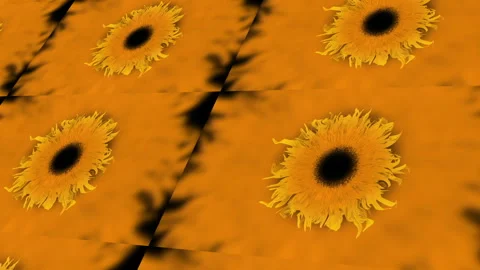 Closeup of sunflower pattern on amber background, artistic floral art Video stock 272197695