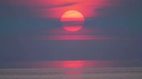 Closeup sunrise over water, large red orange sun, birds  flying Video stock 112488645