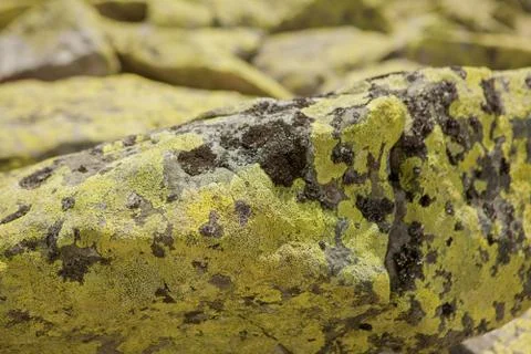 Closeup surface abstract marble pattern at the marble stone floor texture bac Stock Photos