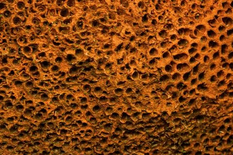 A closeup surface of red lava textured rocks Stock Photos