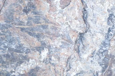 Closeup surface texture of stone from see on beach stone Stock Photos