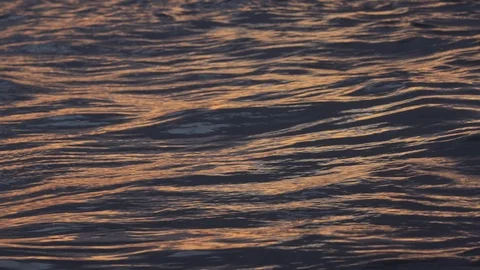 Closeup of the surface of the water with the lights of the night city. Recorded Video stock 120117145