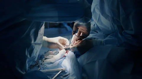 A closeup of a surgery performed by a veterinary and a assisted by a nurse Stock Footage 237559698
