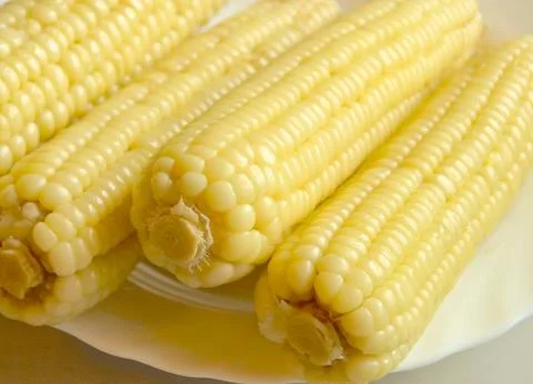 Closeup of sweet boiled corn Stock Photos