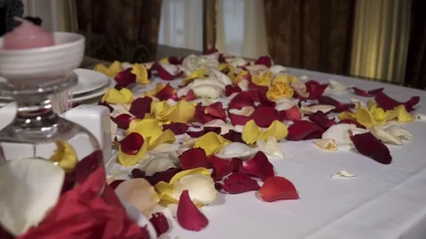 Closeup of table for couple decorated with rose petals in the restaurant Stock Footage 73516413