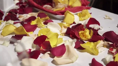 Closeup of table decorated with different rose petals in the restaurant Stock Footage 73516476