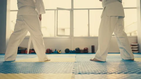 Closeup of taekwondo practitioners doing basic fighting stance, training partner Stock Footage 240209485
