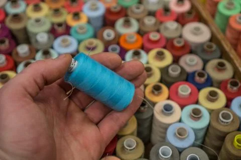 Closeup of tailors hands choosing thread color from box of different sewing Stock Photos