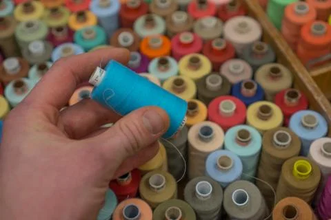 Closeup of tailors hands choosing thread color from box of different sewing Stock Photos