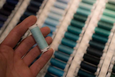 Closeup of tailors hands choosing thread color from box of different sewing Stock Photos