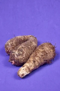 Closeup of taro root vegetable, eddo malanga, purple background Stock Photos