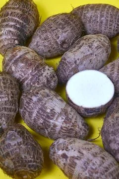 Closeup of taro root vegetable, eddo malanga, yellow background Stock Photos