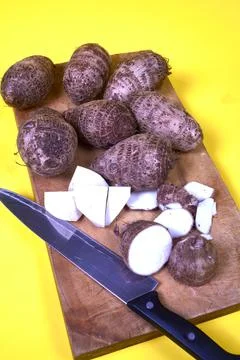 Closeup of taro root vegetable, eddo malanga, yellow background Stock Photos