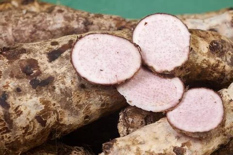 Closeup of taro root vegetable, eddo malanga, green background Stock Photos