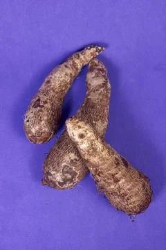 Closeup of taro root vegetable, eddo malanga, purple background Stock Photos