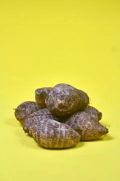 Closeup of taro root vegetable, eddo malanga, yellow background Stock Photos