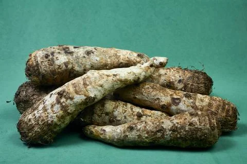 Closeup of taro root vegetable, eddo malanga, green background Foto stock