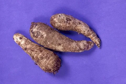Closeup of taro root vegetable, eddo malanga, purple background Stock Photos