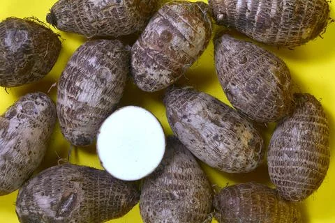 Closeup of taro root vegetable, eddo malanga, yellow background Stock Photos