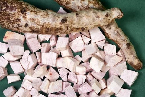 Closeup of taro root vegetable, eddo malanga, green background Stock Photos