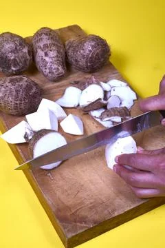 Closeup of taro root vegetable, eddo malanga, yellow background Stock Photos