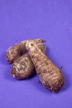 Closeup of taro root vegetable, eddo malanga, purple background Stock Photos