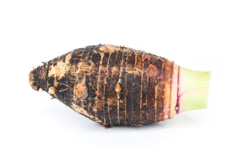 Closeup of taro root on white background Stock Photos