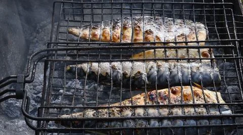 Closeup of tasty fish grilling in bbq grid Stock Photos
