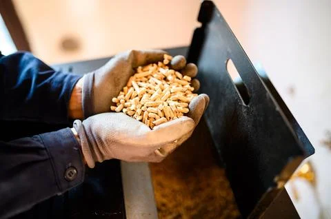 Closeup of a technician's hands holding pellets Foto stock