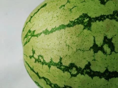 Closeup of Texture and Pattern of Water Melon Fruit Outer Skin Foto stock