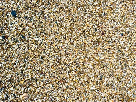 Closeup texture of crushed shells and pebbles on beach Foto stock
