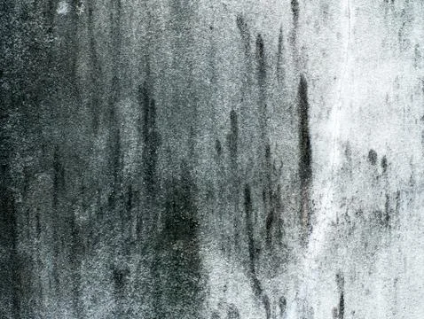 Closeup texture of grunge cement wall Stock Photos