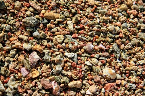 Closeup texture of multicolored beach pebbles, gravel, and shell fragments,.. Stock Photos