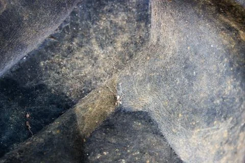 Closeup texture of a old car tyre Stock Photos