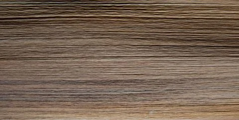 Closeup texture of palm leaf for wallpaper Stock Photos