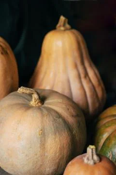 Closeup texture of pumpkins. Stock Photos