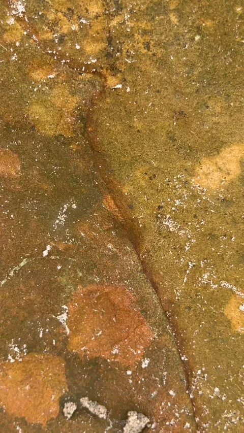 Closeup of textured brown and orange surface with scattered white speckles .. Video stock 338414274