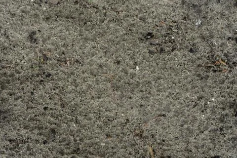 Closeup of textured bumpy rock surface with spots Stock Photos