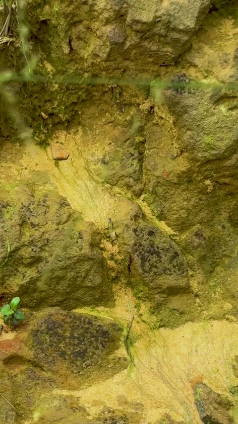 Closeup of textured rock surface with green moss and grass in natural earth.. Stock Footage 338414295